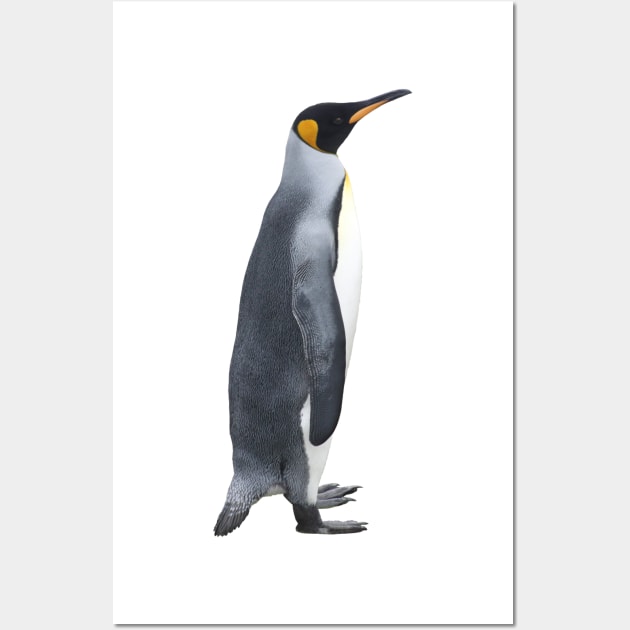 King Penguin Pinguinos Rey Wall Art by alsoCAN